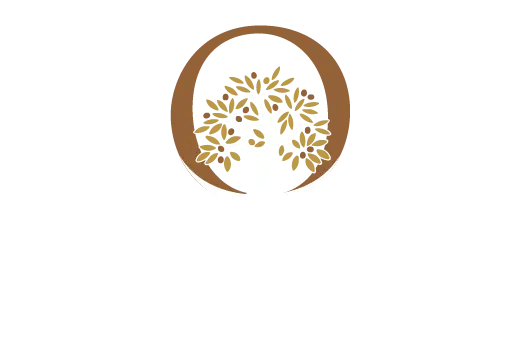 Vildete-Oliveira-Logo-branco